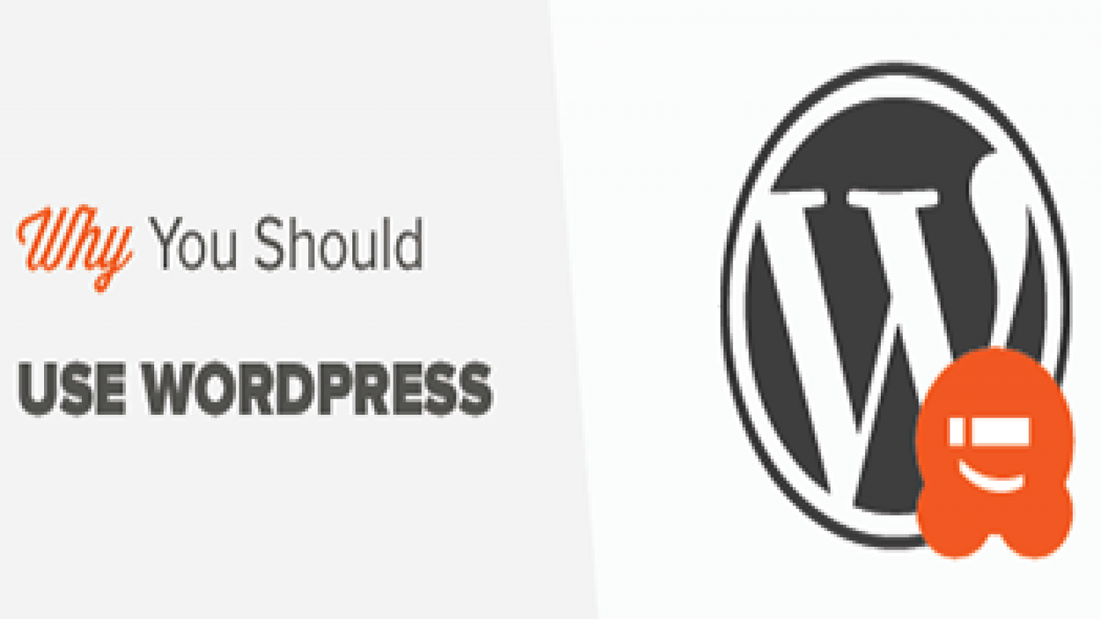 why wordpress